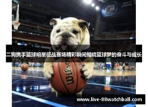 二狗携手篮球明星征战赛场精彩瞬间揭晓篮球梦的奋斗与成长