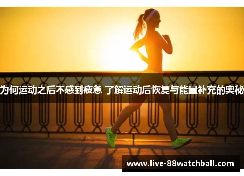 为何运动之后不感到疲惫 了解运动后恢复与能量补充的奥秘